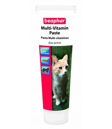 Pasta Multi-Vitaminas Gato 100gr