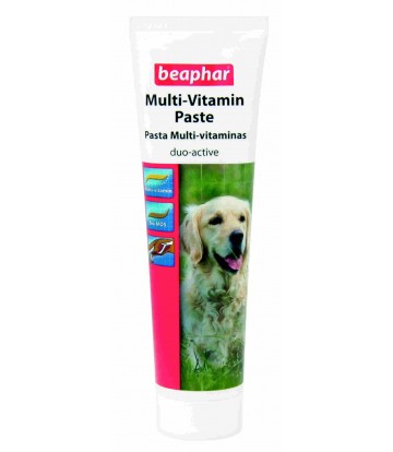 Pasta Multi-Vitaminas Perro 100gr