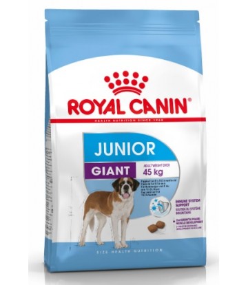SHN Giant Junior 15kg