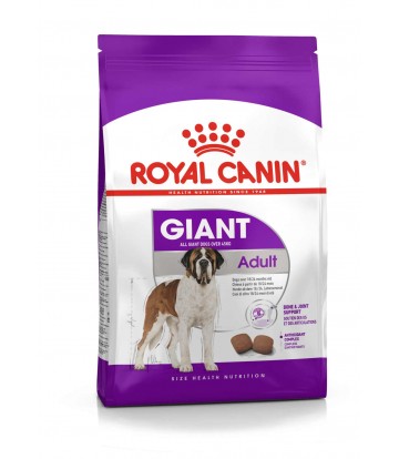 SHN Giant Adult 15kg