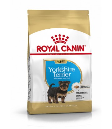 BHN Yorkshire Jr 500gr