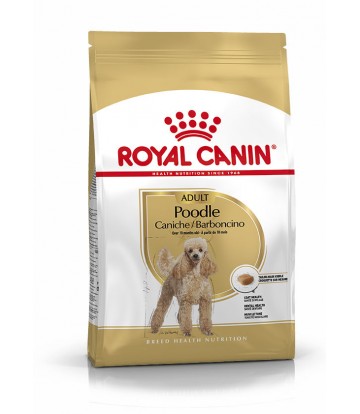 BHN Caniche Ad 7,5kg