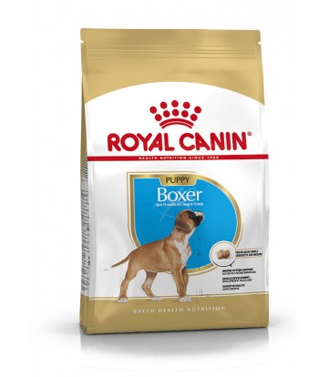 BHN Boxer Jr 12kg