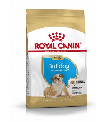 BHN Bulldog Puppy 12kg