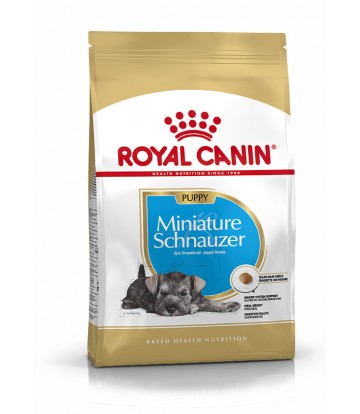 BHN Schnauzer Mini Jr 1,5kg