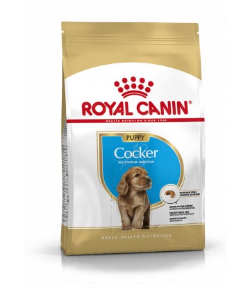 BHN Cocker Jr 3kg