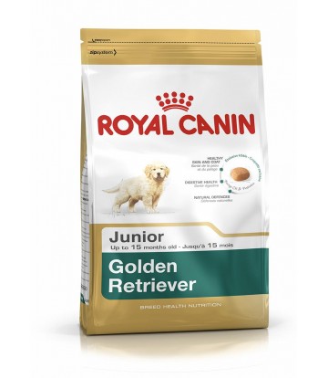 BHN Golden Retriever Jr 12�