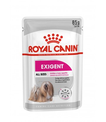 CCN Wet Exigent 85gr (12uds)