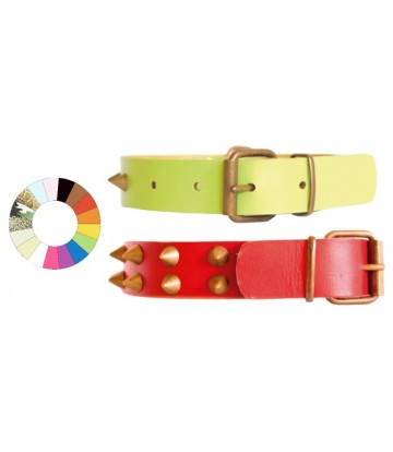 Collar Leather Class Co1F RJ 35-41 L450 A25