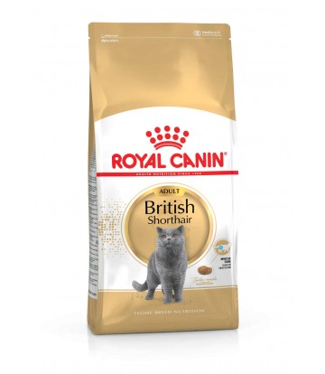 FBN British Shorthair Ad 10kg