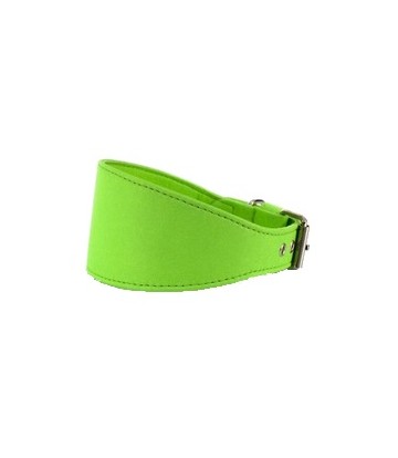 Collar Elements Galgo VER 22/27 L350 A60
