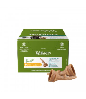 WHZ SD Occupy Asta M 66pcs/Box