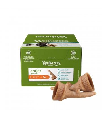 WHZ SD Occupy Asta L 22pcs/Box