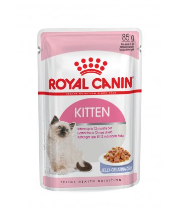 FHN Wet Kitten Instictive In Jelly 85gr (12uds)