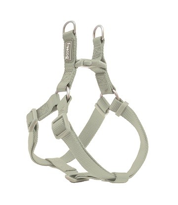 Arnés Nylon Basic Tipo A Verde Salvia 0,8 x 15/30cm
