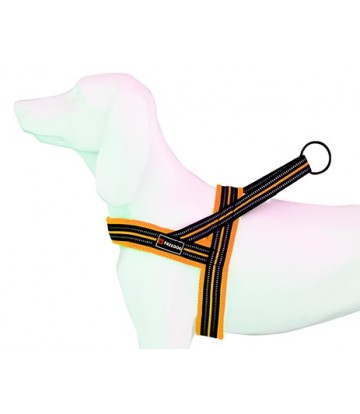 Arnes Soft-Sport NJ Neon T-S 20mmx54-64cm