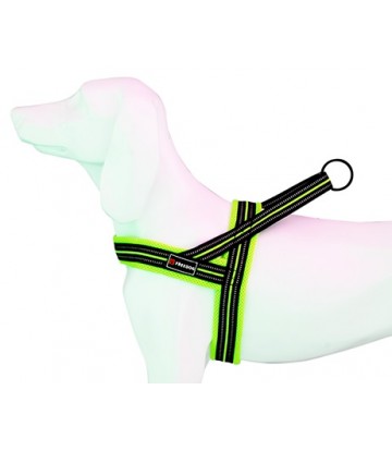Arnes Soft-Sport AM Neon T-S 20mmx54-64cm