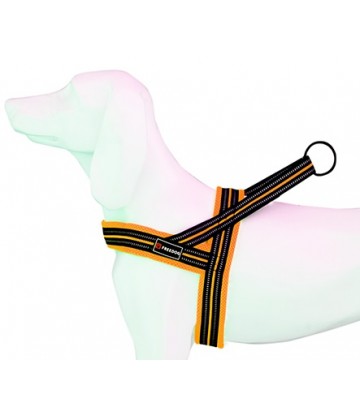 Arnes Soft-Sport NJ Neon T-M 25mmx62-72cm