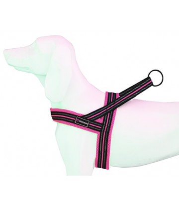 Arnes Soft-Sport RS T-M 25mmx62-72cm