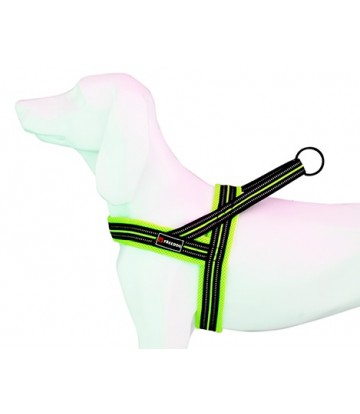 Arnes Soft-Sport AM Neon T-M 25mmx62-72cm
