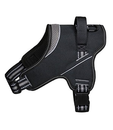 Arnés Strong Gris T-XS C 28-36cm / P 38-46cm