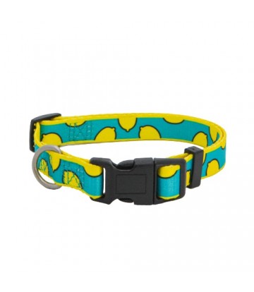 Collar Lemon XS 10mm x 20/35cm