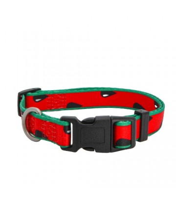 Collar Watermelon S 15mm x 35/50cm