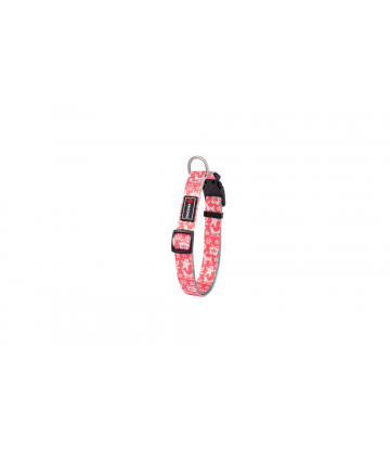Collar Red Ginger Cookie 20mm x 20/65cm T-M