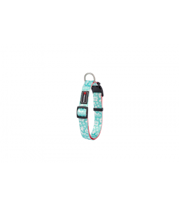 Collar Blue Ginger Cookie 20mm x 20/65cm T-M