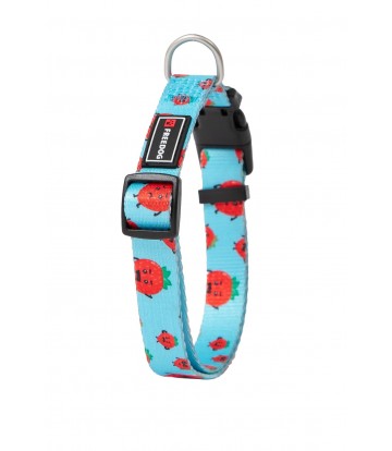 Collar Strawberry XS 10mm x 20/35cm