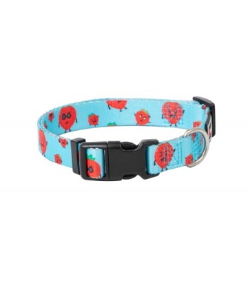 Collar Strawberry S 15mm x 20/50cm