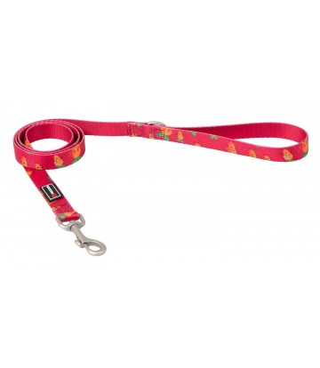 Tirador Carrot S 15mm x 120cm