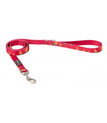 Tirador Carrot M 20mm x 120cm