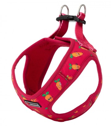 Arnés Carrot XS Cuello 13,5cm Pecho 34-48cm