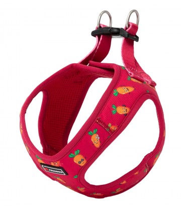 Arnés Carrot S Cuello 16cm Pecho 38-55cm