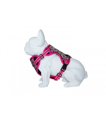 Arnés Boreal Fucsia 1,5 Cuello 32-48cm Pecho 34-63cm