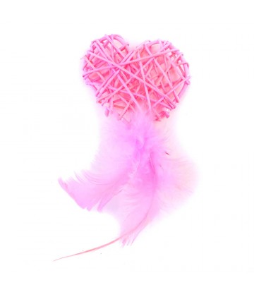 Corazón Con Plumero 13 x 6,5cm Rosa