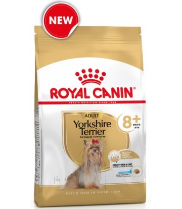 BHN Yorkshire Ad  1,5kg