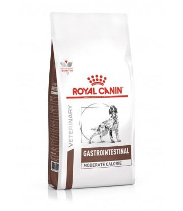 VHN Dog Gastro Int MC 2kg