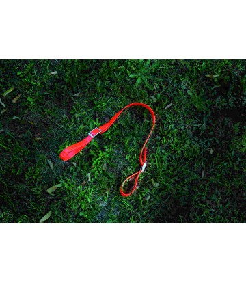 Recogedor Horseball Biothane