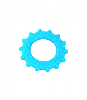 Bow-Wow Wheel Azul 8x8cm