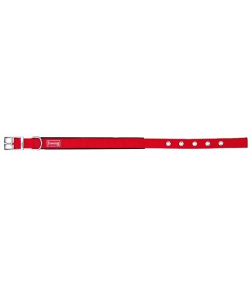 Collar Ergo rojo 20mmx40cm