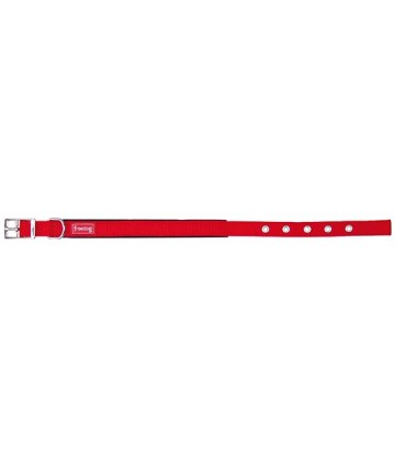 Collar Ergo rojo 25mmx55cm