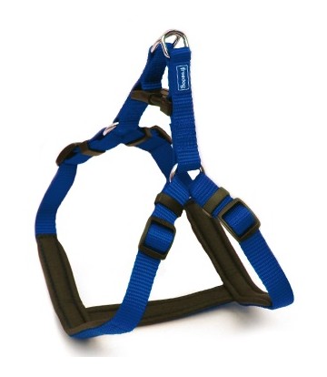 Arnés Ergo azul 15mmx30-50cm