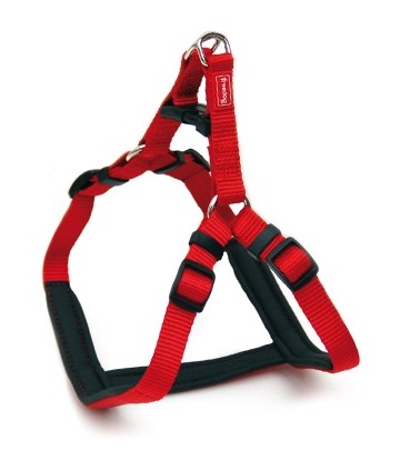 Arnés Ergo rojo 20mmx50-71cm