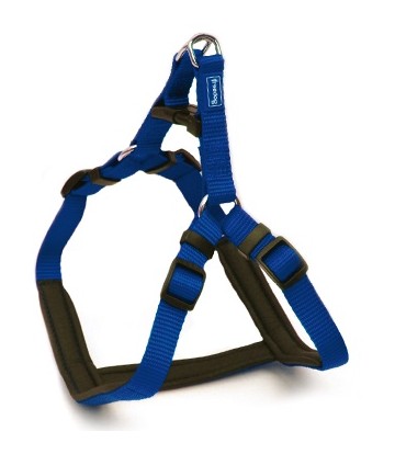 Arnés Ergo azul 20mmx50-71cm