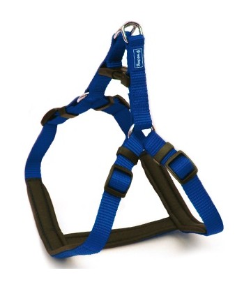 Arnés Ergo azul 25mmx71-91cm