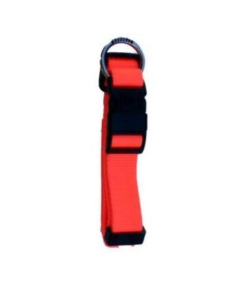 Collar Nylon Neon Naranja Fluor 15mm