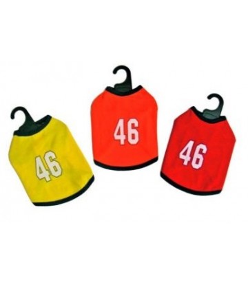 Camiseta Rossi 46 20cm
