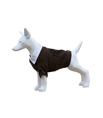 Traje Con Camisa T-20cm